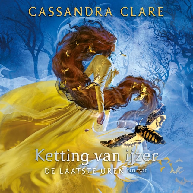Book cover for Ketting van ijzer
