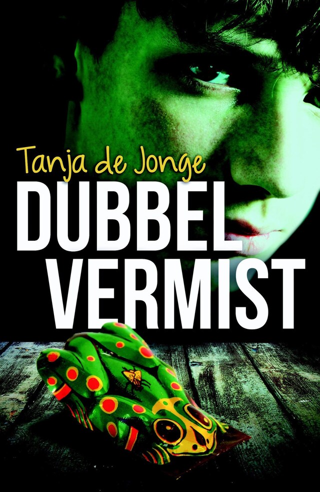 Book cover for Dubbel vermist