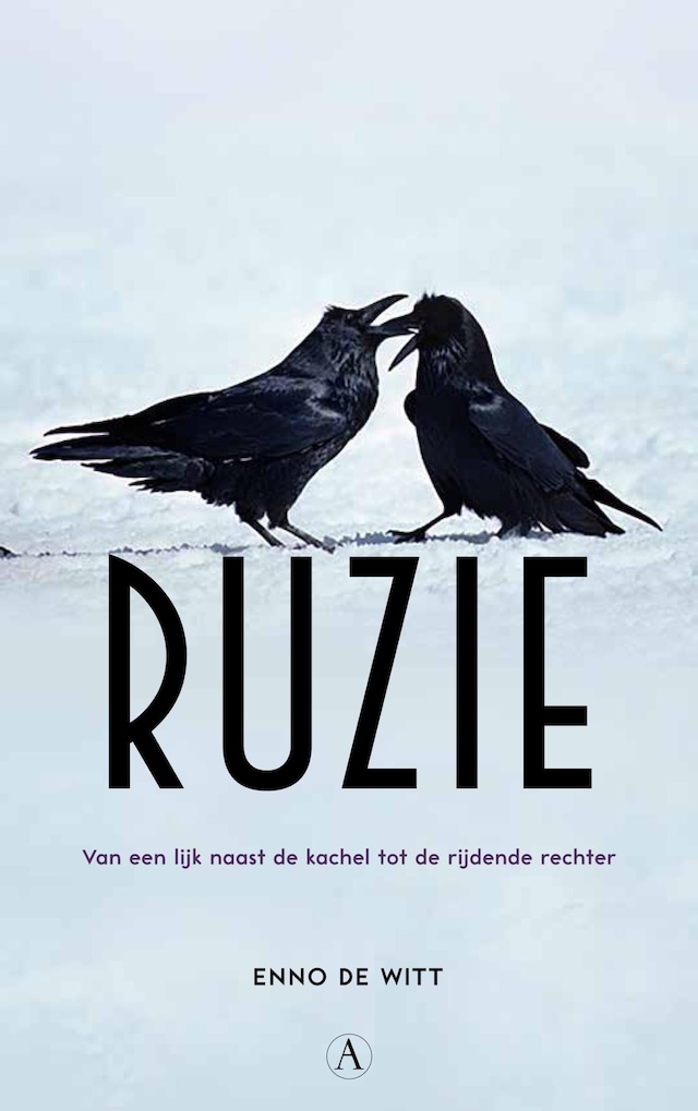 Book cover for Ruzie