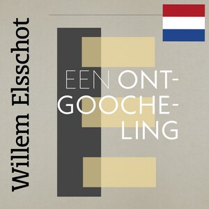Een ontgoocheling - luisterboek