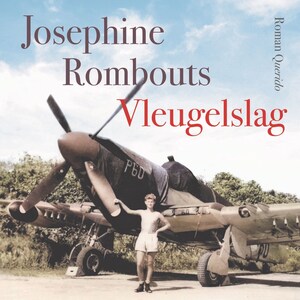 Vleugelslag - luisterboek