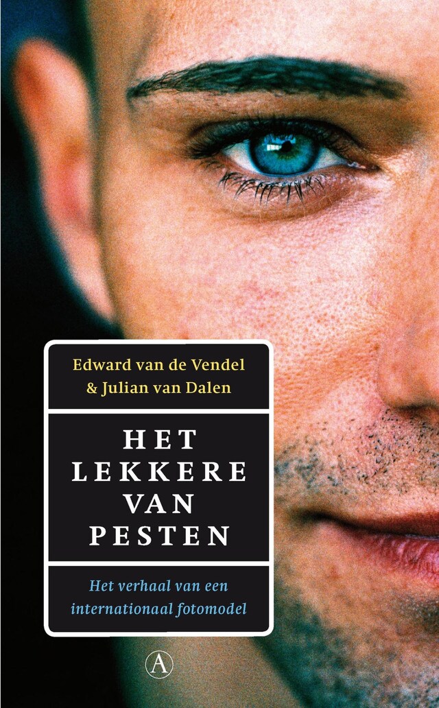 Book cover for Het lekkere van pesten