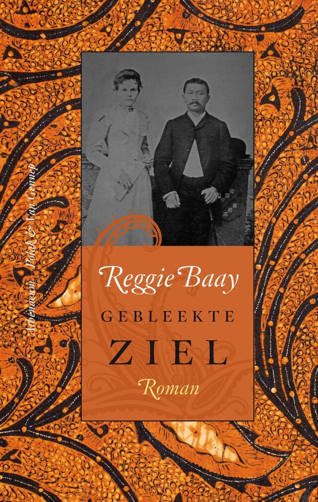 Couverture de livre pour Gebleekte ziel