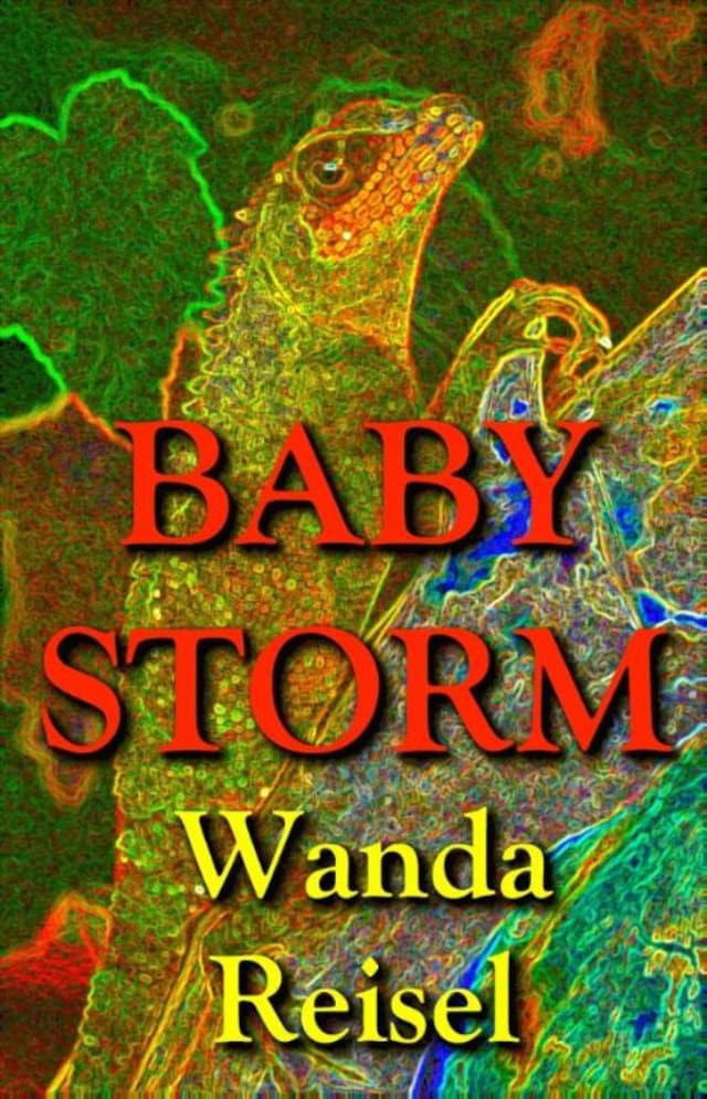 Boekomslag van Baby Storm