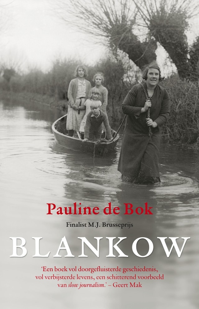 Book cover for Blankow of het verlangen naar Heimat