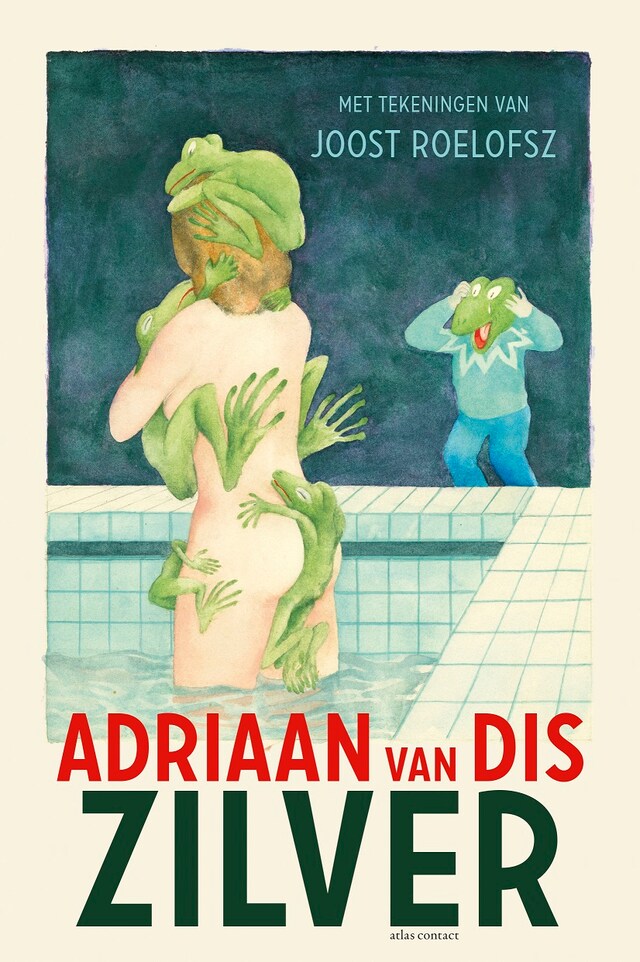 Book cover for Zilver of het verlies van de onschuld