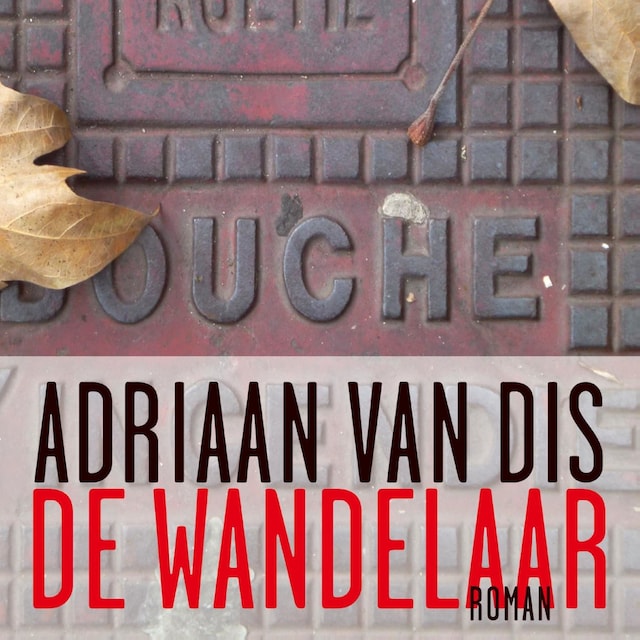 Book cover for De wandelaar