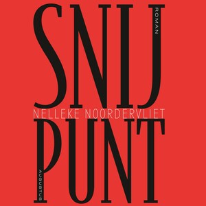 Snijpunt - luisterboek