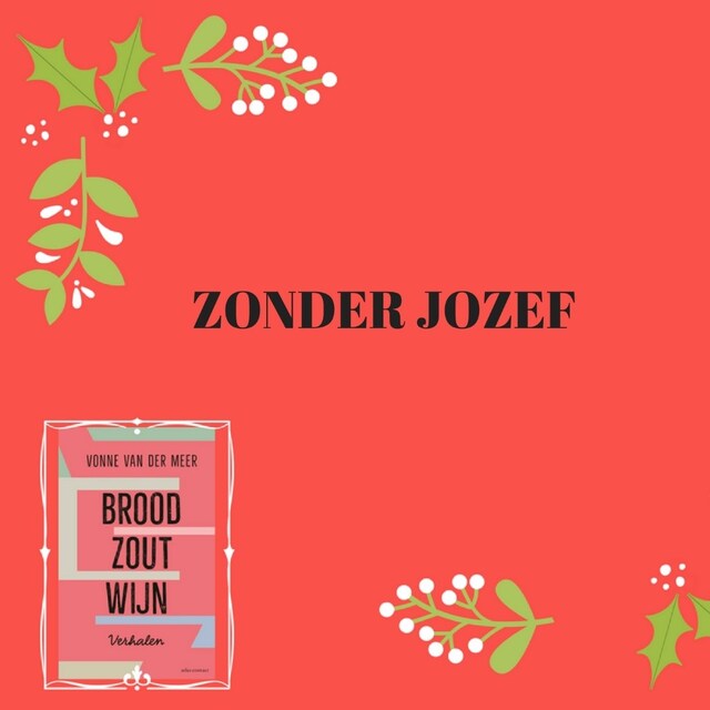Book cover for Zonder Jozef