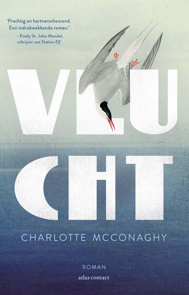 Book cover for Vlucht