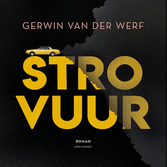 Book cover for Strovuur