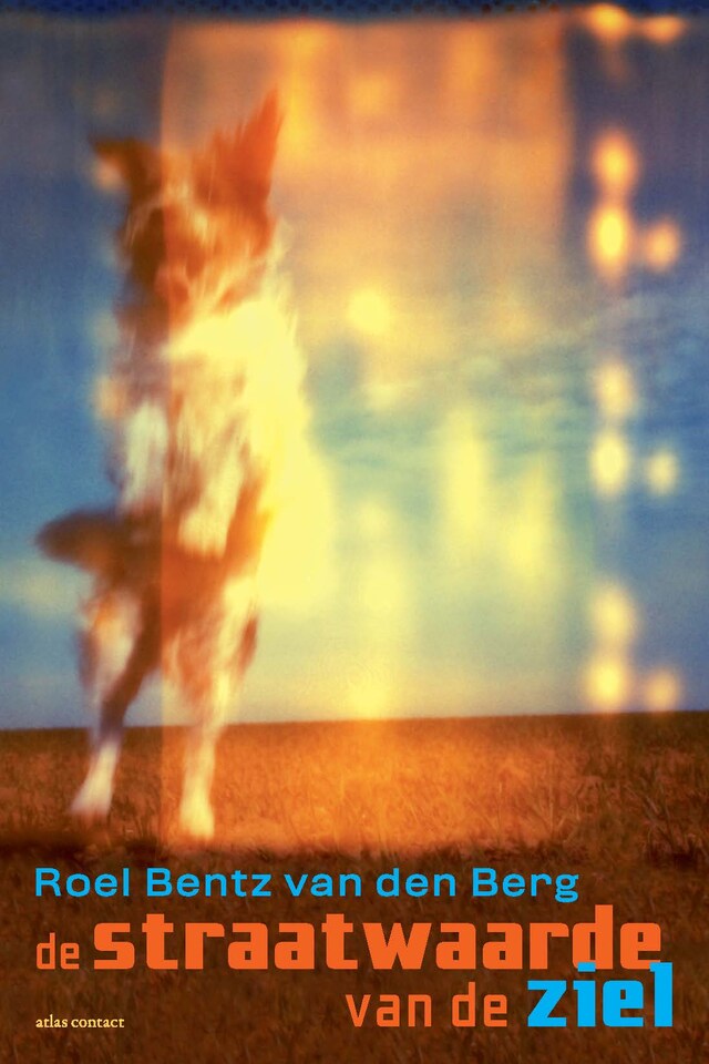 Book cover for De straatwaarde van de ziel