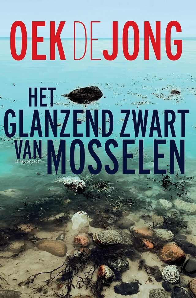 Book cover for Het glanzend zwart van mosselen