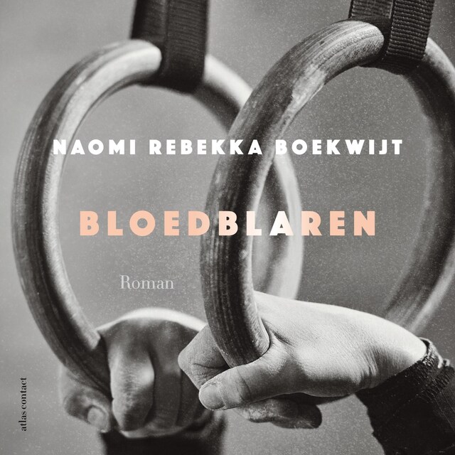 Copertina del libro per Bloedblaren