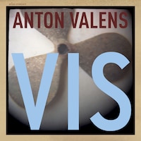 Vis