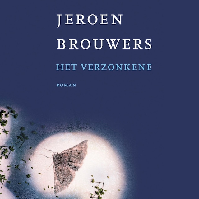 Okładka książki dla Het verzonkene