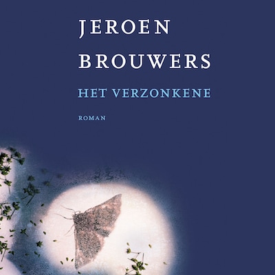 Het verzonkene