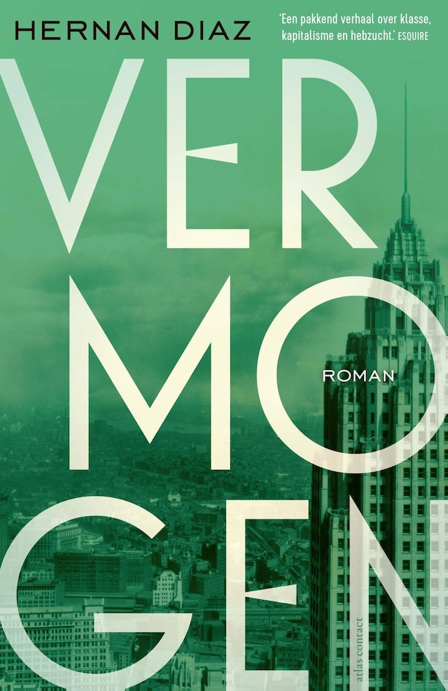 Book cover for Vermogen