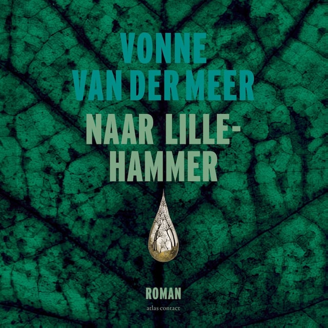 Book cover for Naar Lillehammer