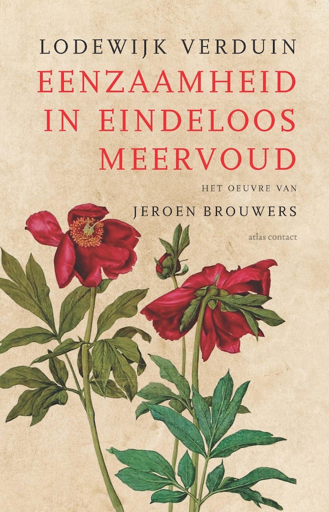 Book cover for Eenzaamheid in eindeloos meervoud