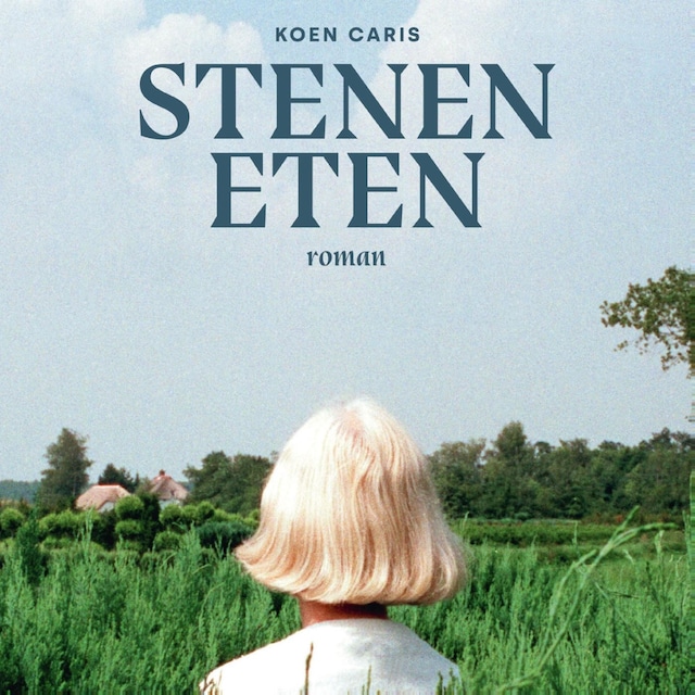 Book cover for Stenen eten