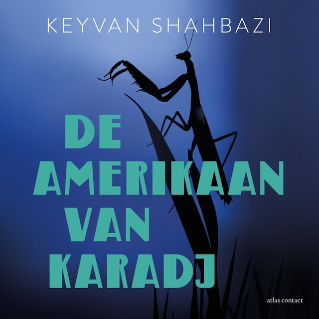 Book cover for De Amerikaan van Karadj