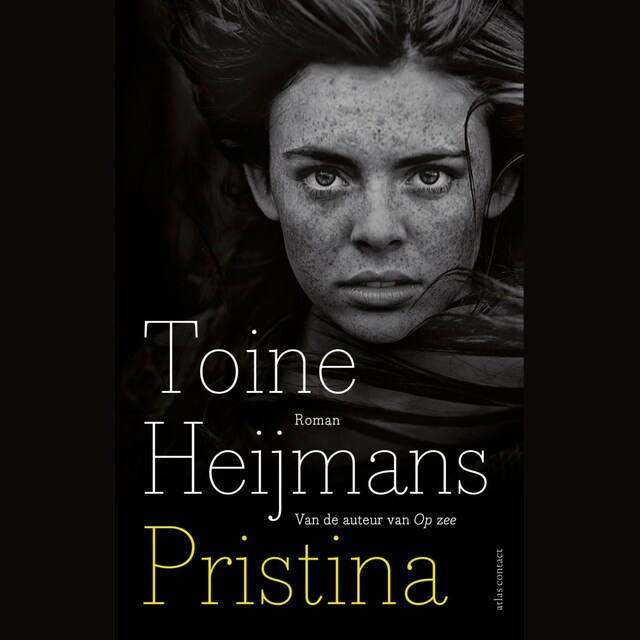 Book cover for Pristina
