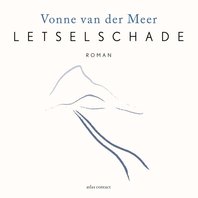 Book cover for Letselschade