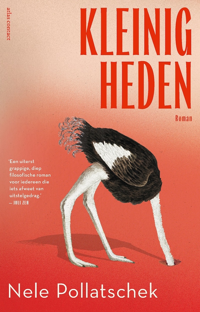 Book cover for Kleinigheden