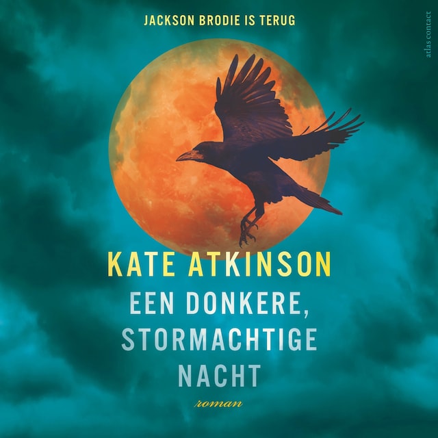 Book cover for Een donkere, stormachtige nacht
