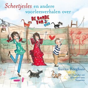 Scheetjesles - luisterboek