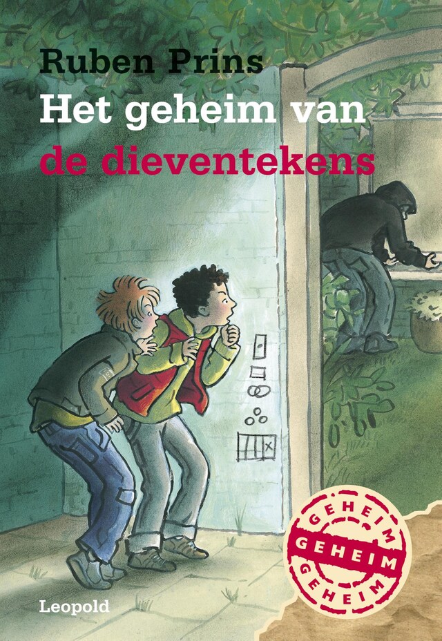 Book cover for Het geheim van de dieventekens