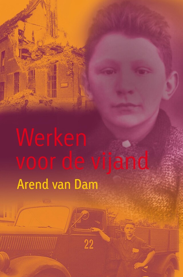 Book cover for Werken voor de vijand