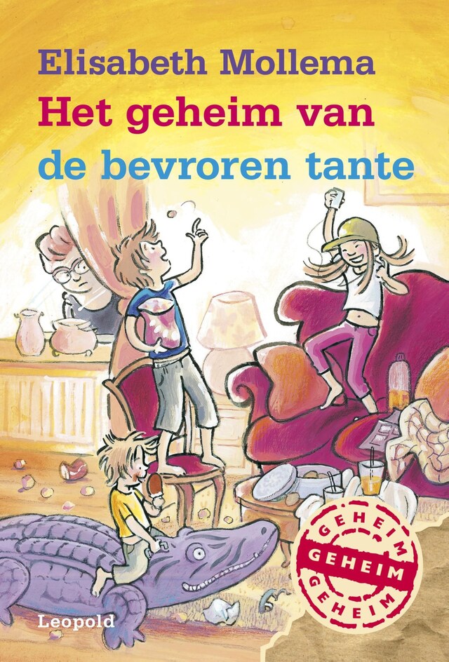 Book cover for Het geheim van de bevroren tante