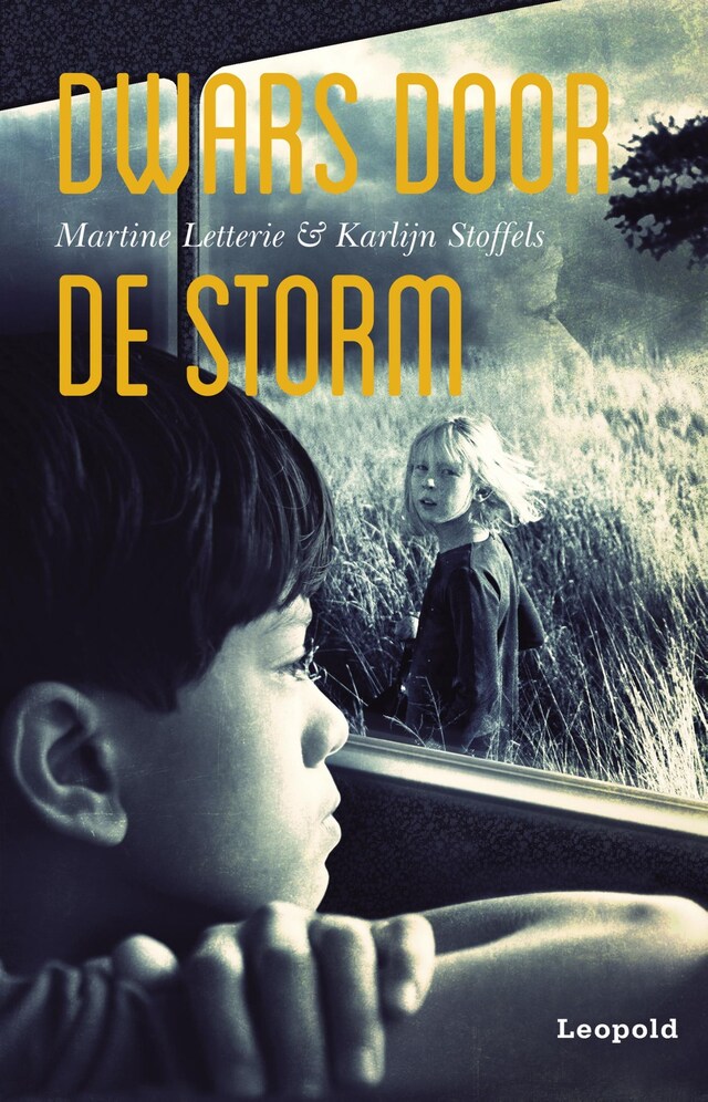 Book cover for Dwars door de storm