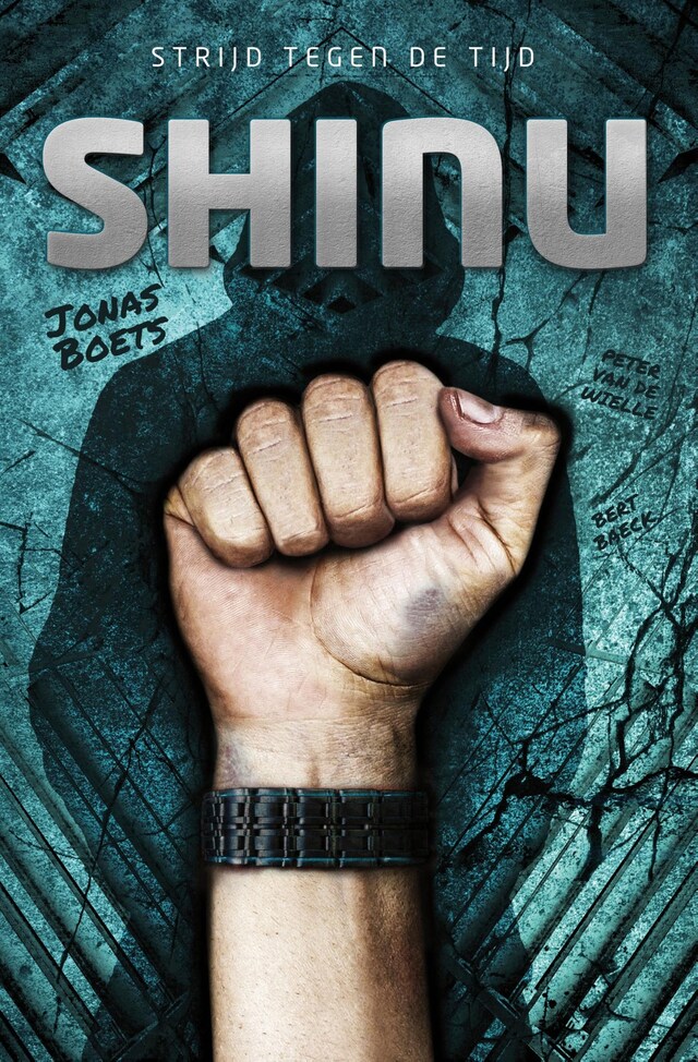 Book cover for Shinu