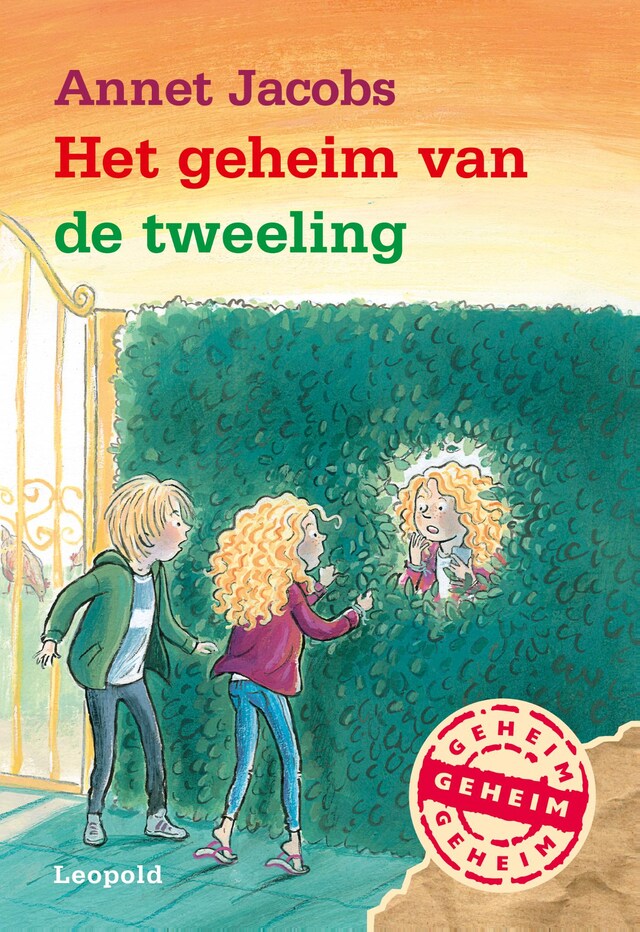 Couverture de livre pour Het geheim van de tweeling