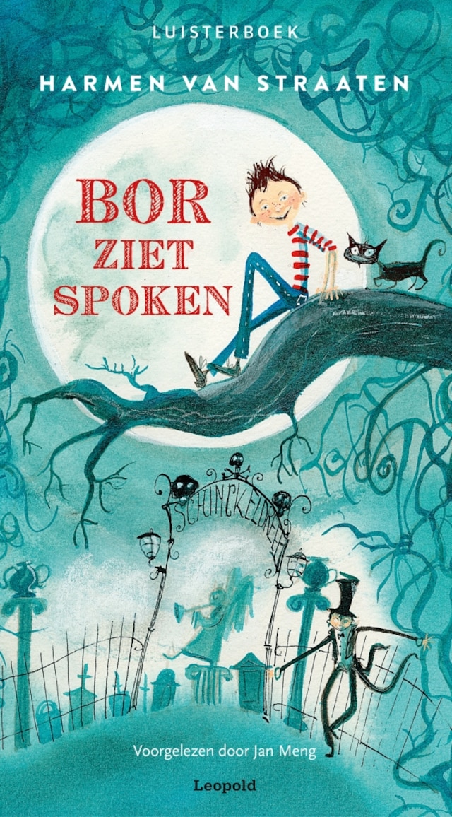 Book cover for Bor ziet spoken