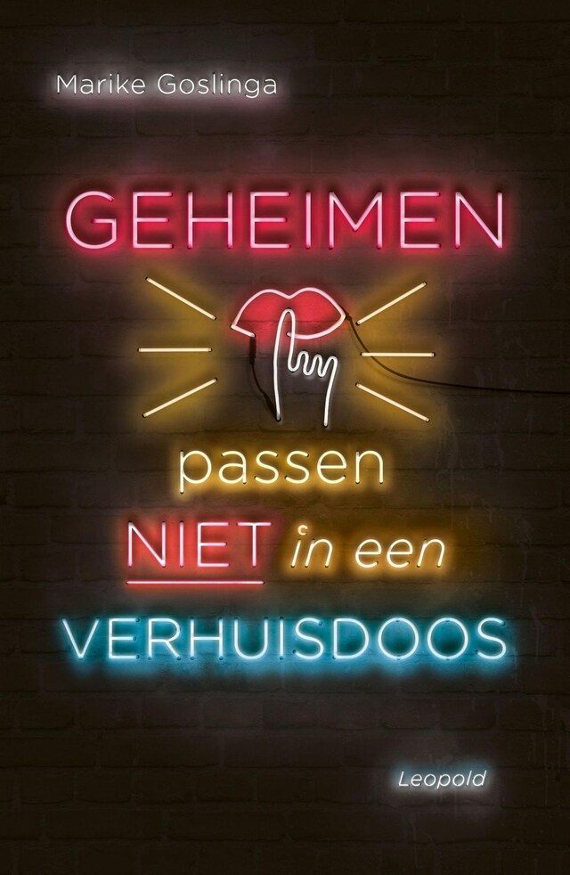 Portada de libro para Geheimen passen niet in een verhuisdoos