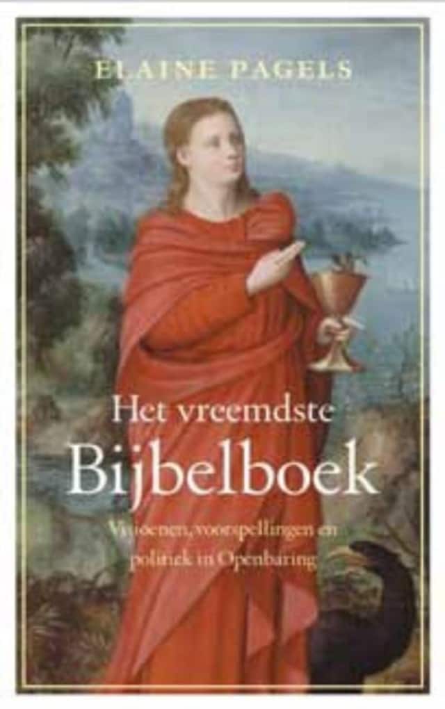 Book cover for Het vreemdste Bijbelboek