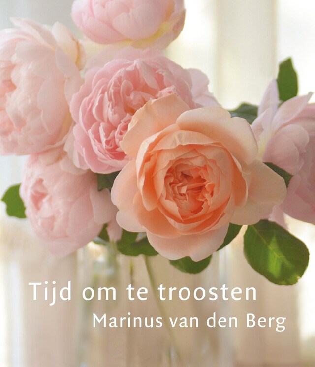 Book cover for Tijd om te troosten