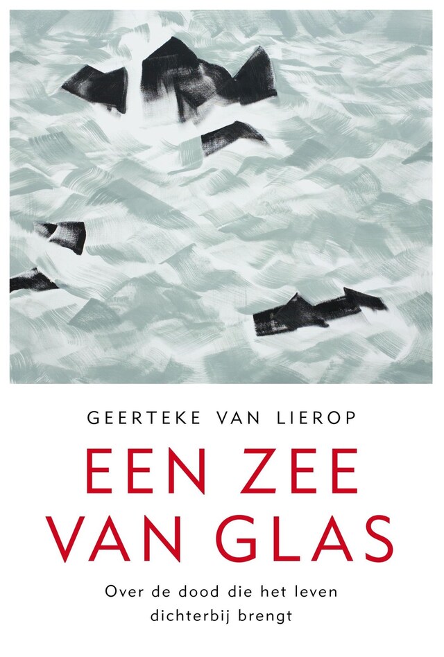 Bokomslag for Een zee van glas