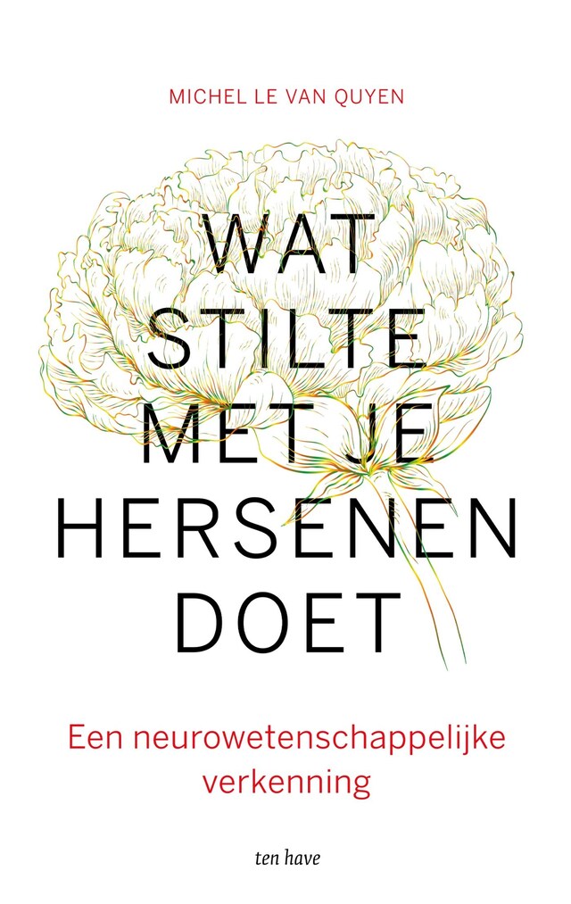 Copertina del libro per Wat stilte met je hersenen doet