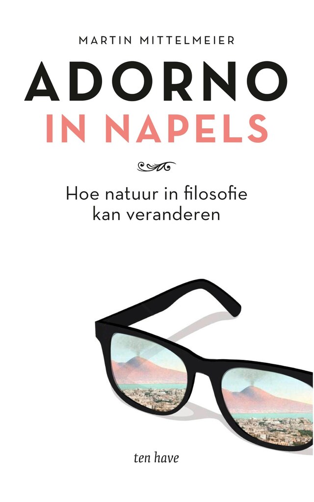 Book cover for Adorno in Napels