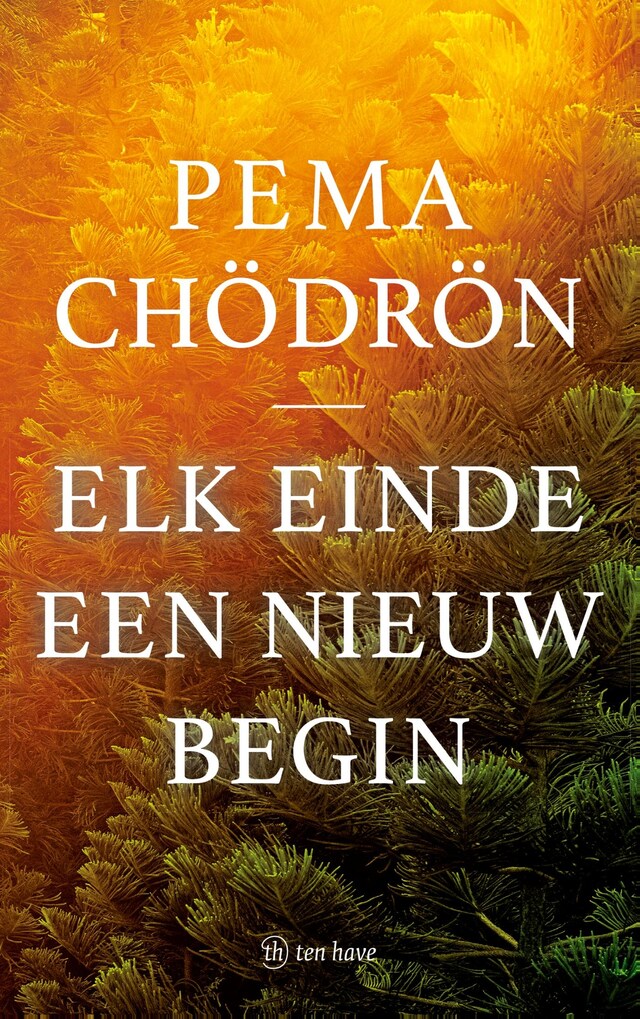 Book cover for Elk einde een nieuw begin