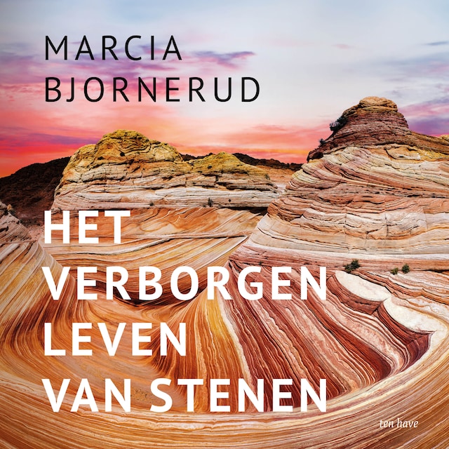 Book cover for Het verborgen leven van stenen