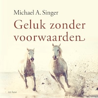 Geluk zonder voorwaarden