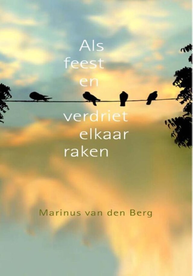 Book cover for Als feest en verdriet elkaar raken