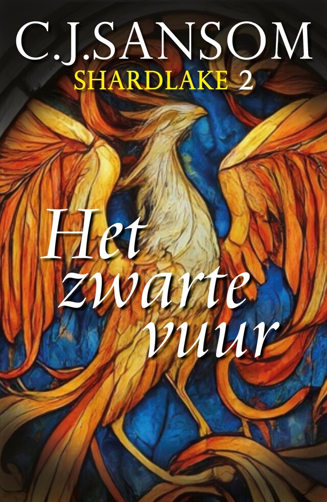 Couverture de livre pour Het zwarte vuur