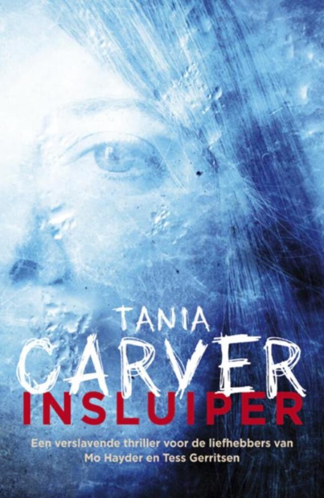 Book cover for Insluiper